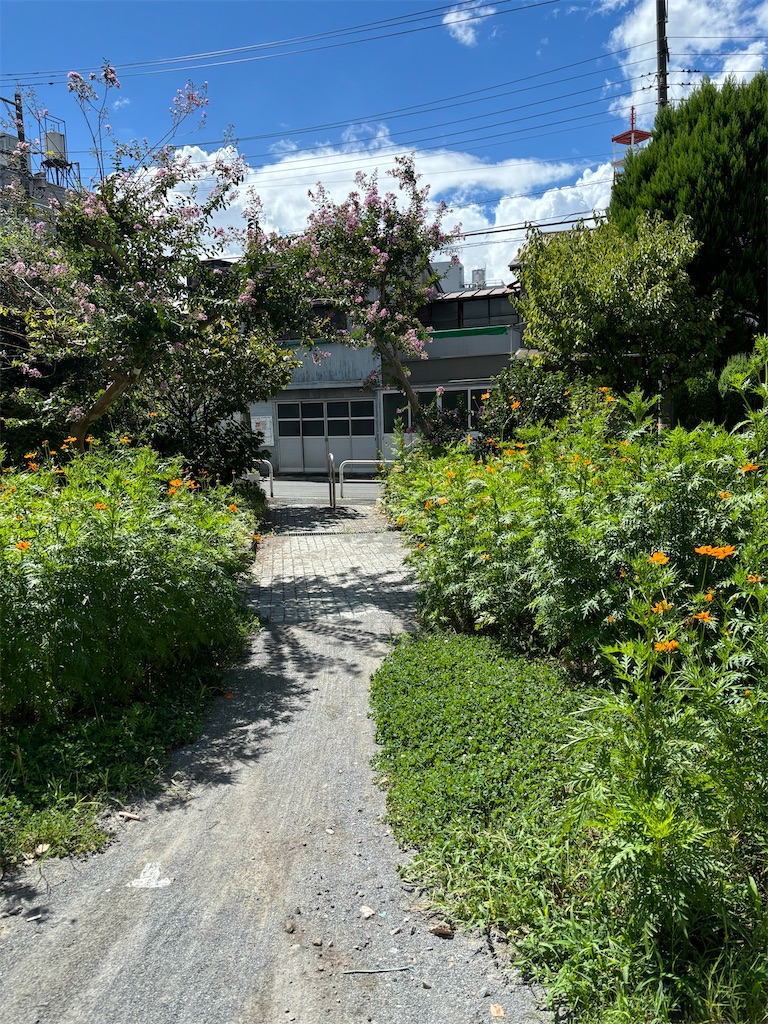 f:id:guangtailang:20240902124051j:image