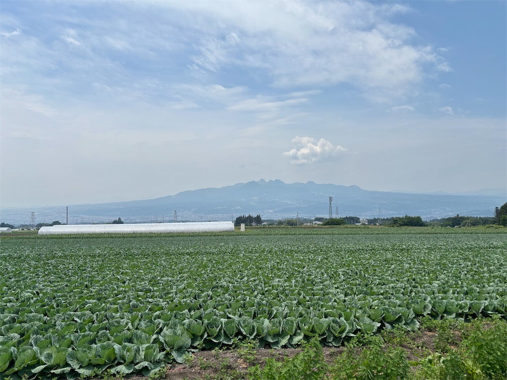 f:id:guangtailang:20250608214654j:image