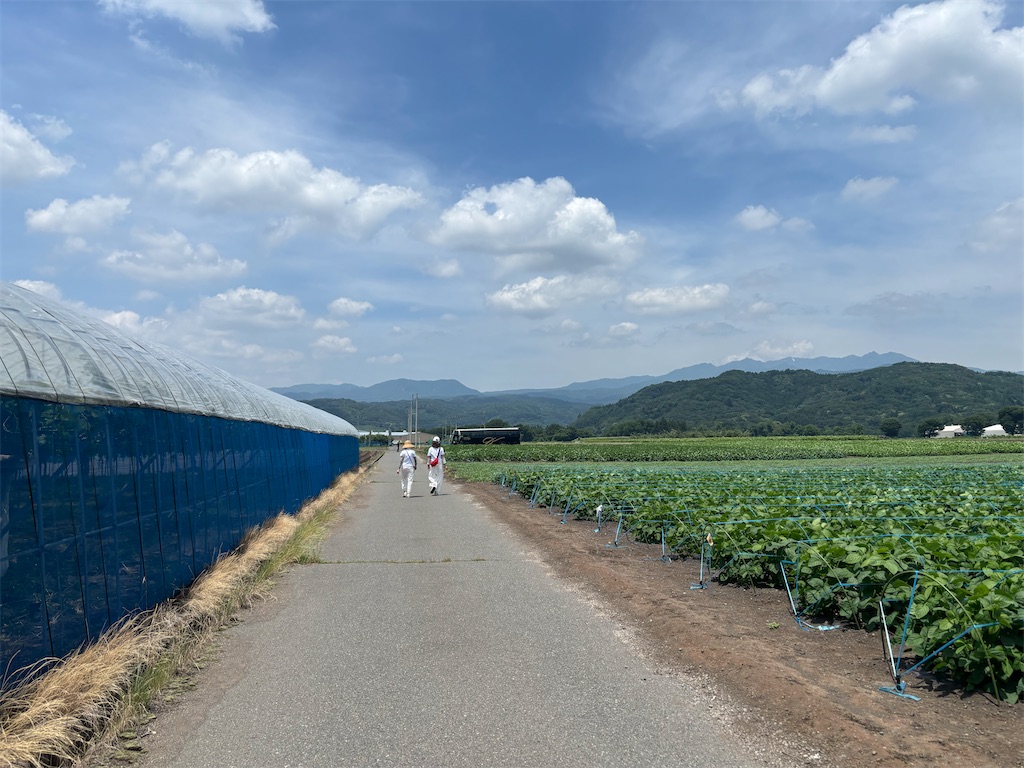 f:id:guangtailang:20250622135449j:image