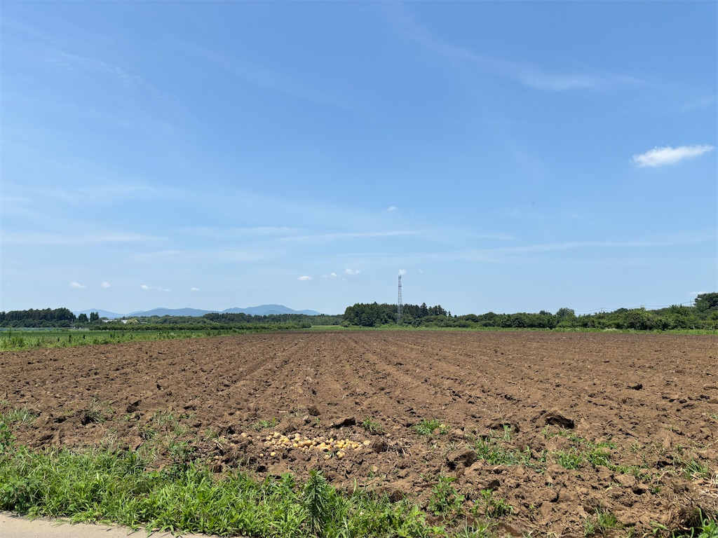f:id:guangtailang:20250630122026j:image