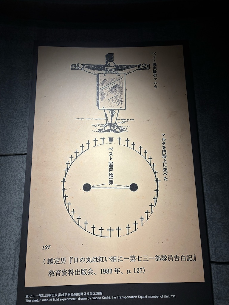 f:id:guangtailang:20250722193042j:image
