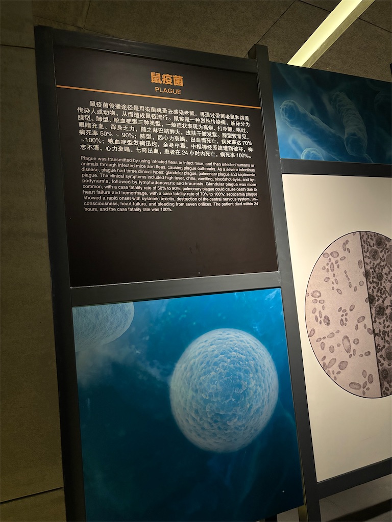 f:id:guangtailang:20250722193109j:image
