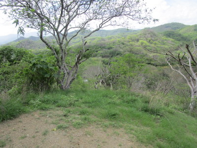 f:id:guatemusia:20160710034811j:plain