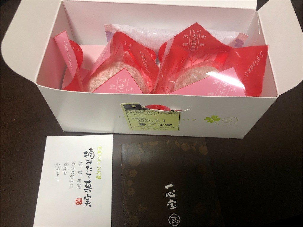 f:id:guchi_infinity:20210131203233j:image