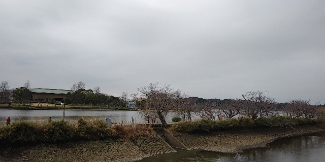 f:id:gudjohnsen2:20200307161628j:plain f:id:gudjohnsen2:20200307161628j:plain