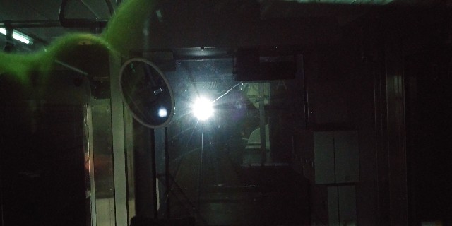 f:id:gudjohnsen2:20200325180213j:plain f:id:gudjohnsen2:20200325180213j:plain