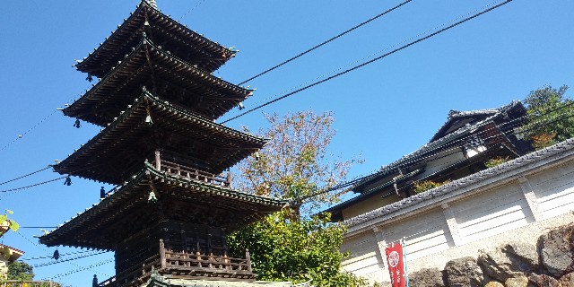 f:id:gudjohnsen2:20201025172716j:plain f:id:gudjohnsen2:20201025172716j:plain