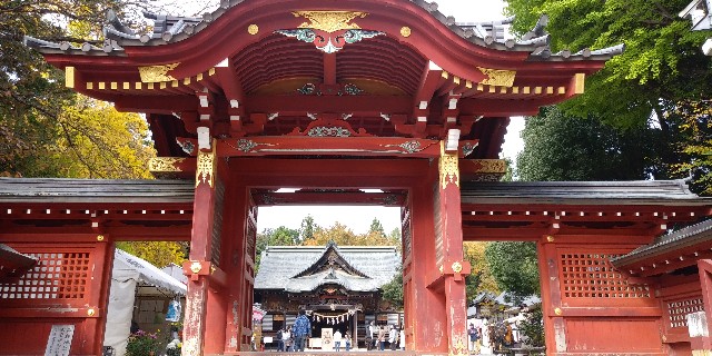 f:id:gudjohnsen2:20201107171323j:plain f:id:gudjohnsen2:20201107171323j:plain