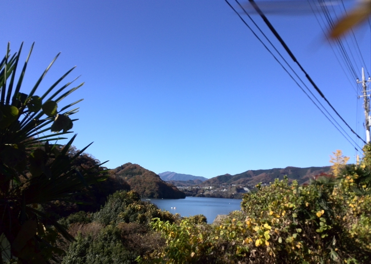 f:id:gudjohnsen2:20201121164145j:plain