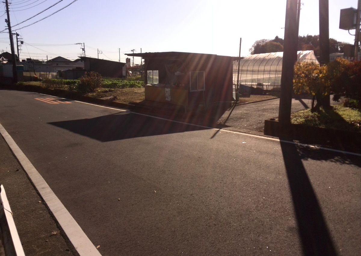 f:id:gudjohnsen2:20201121164323j:plain