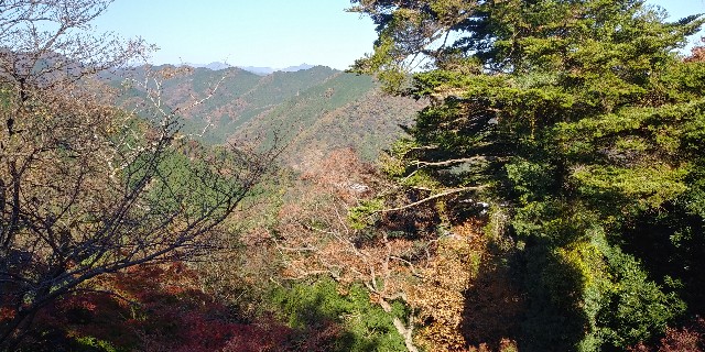 f:id:gudjohnsen2:20201122160814j:plain