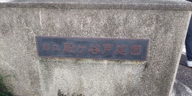 f:id:gudjohnsen2:20201123132513j:plain