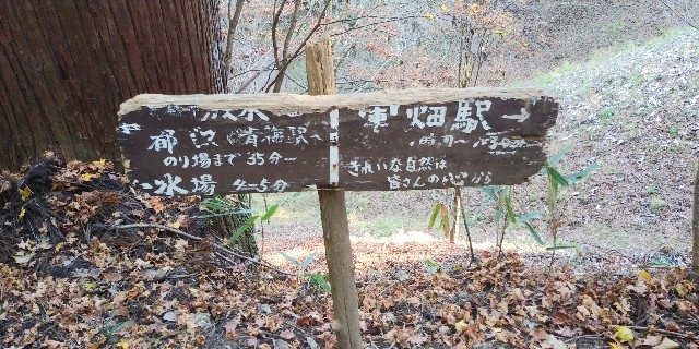 f:id:gudjohnsen2:20201128155822j:plain