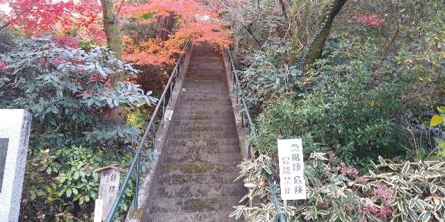 f:id:gudjohnsen2:20201212125133j:plain