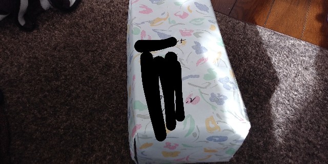 f:id:gudjohnsen2:20201227114834j:plain