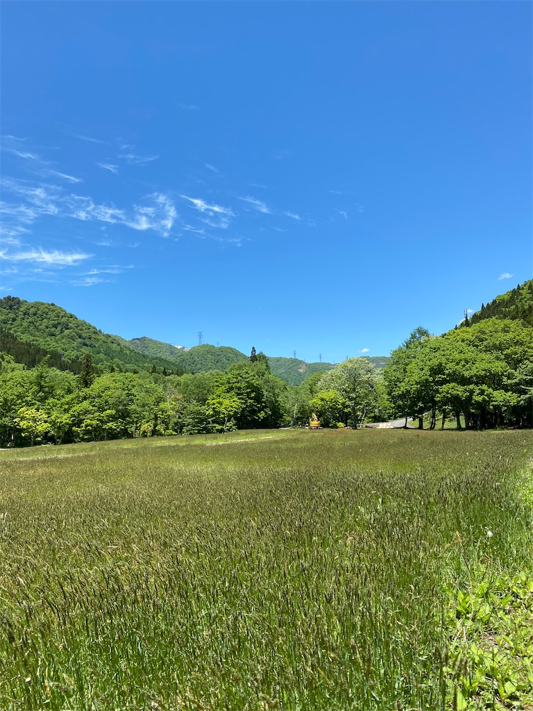 f:id:gudosha:20200530103004j:image f:id:gudosha:20200530103004j:image