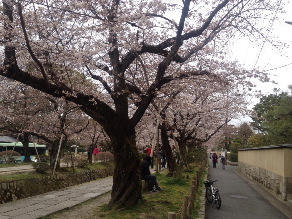f:id:guesthouseyululu:20170405180631j:plain f:id:guesthouseyululu:20170405180631j:plain