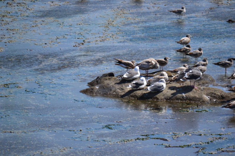 f:id:guguco:20120401131403j:plain