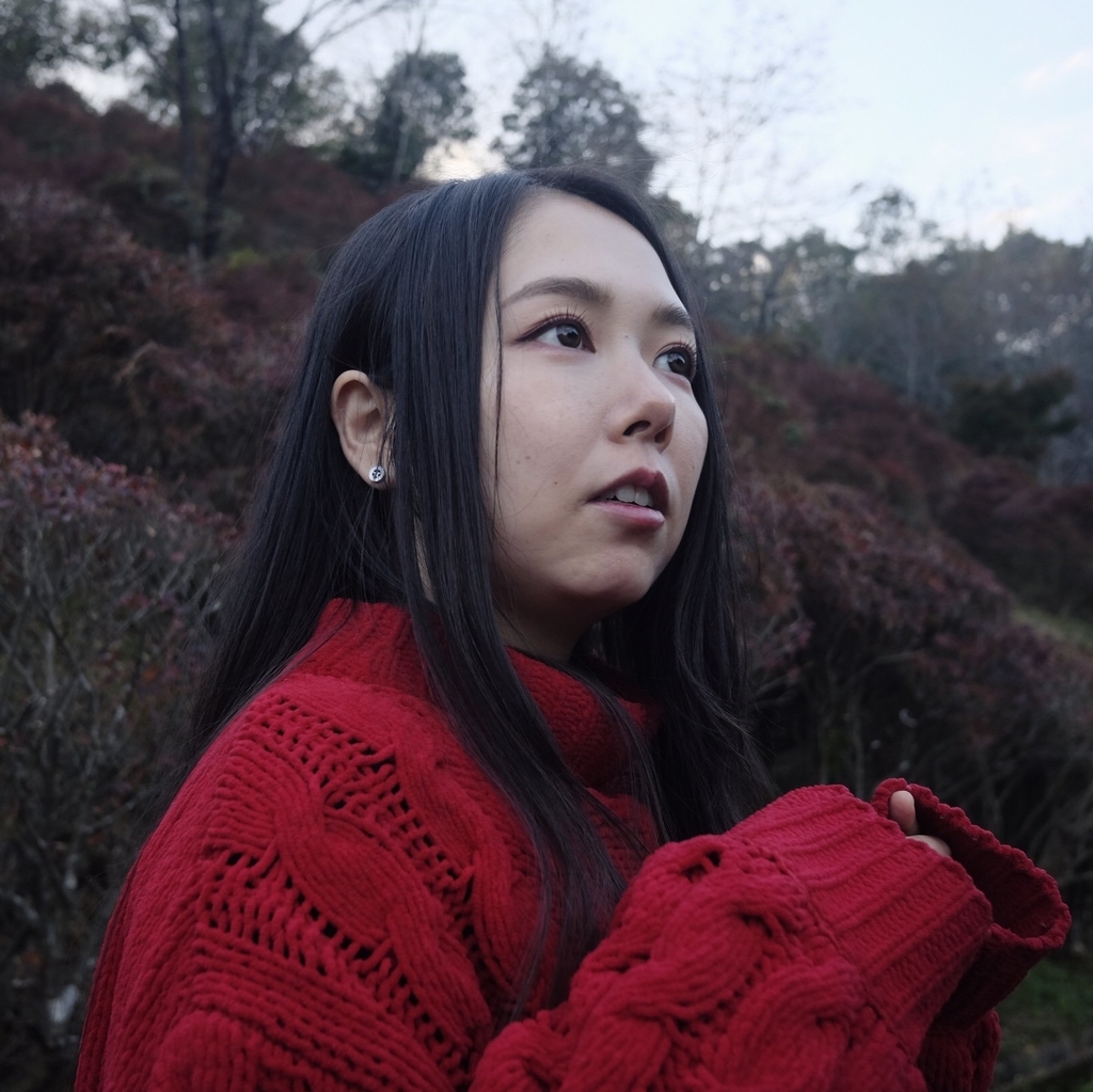 f:id:guguco:20181212090906j:plain
