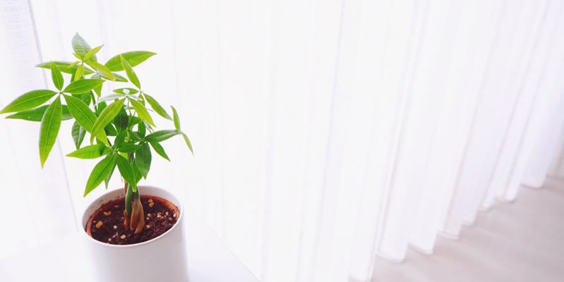 f:id:guh202109:20210924084057p:plain