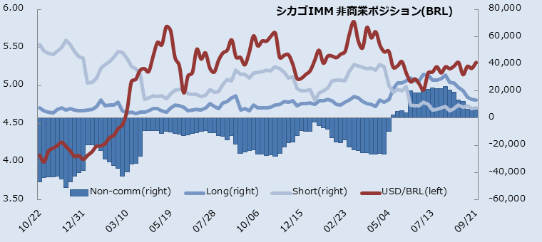 IMMブラジルレアル
