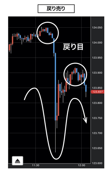 f:id:navimedia:20220512145114j:plain f:id:navimedia:20220512145114j:plain