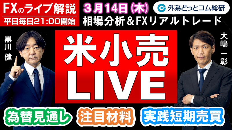 f:id:gaitamesk:20240313170230p:plain