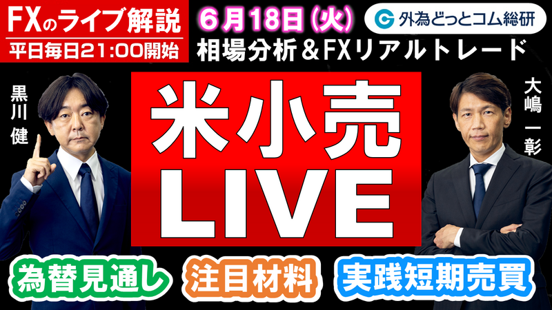 f:id:gaitamesk:20240617141815p:plain