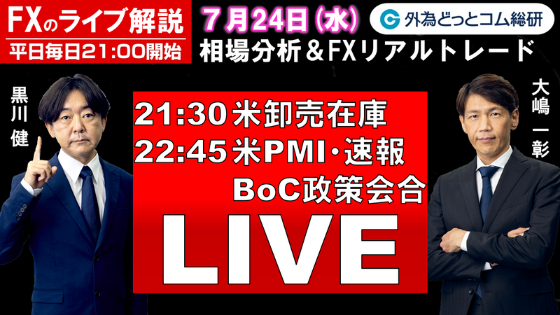 f:id:gaitamesk:20240723172232p:plain