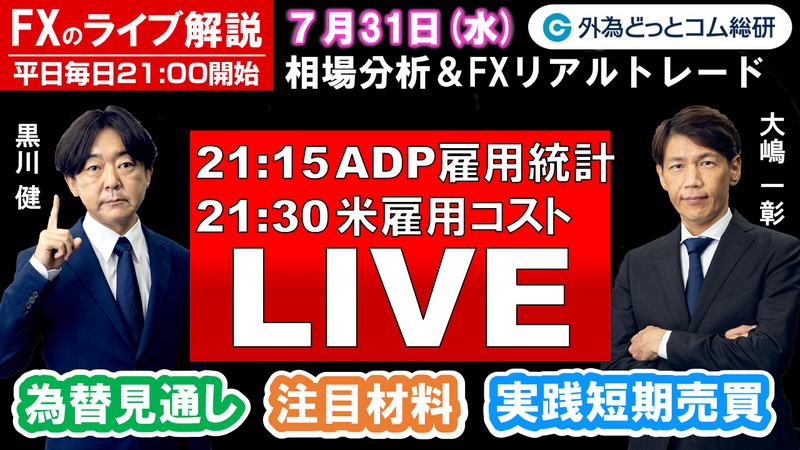 f:id:gaitamesk:20240730163248p:plain