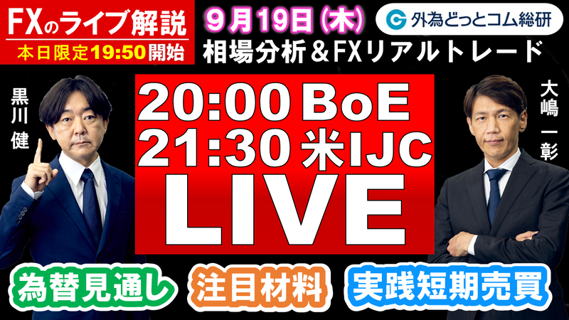 f:id:gaitamesk:20240918233858p:plain