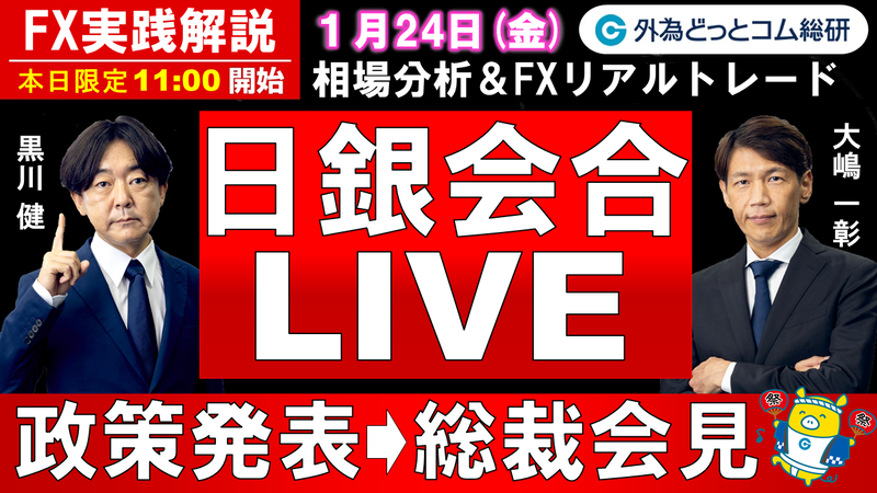 f:id:gaitamesk:20250122183022p:plain f:id:gaitamesk:20250122183022p:plain