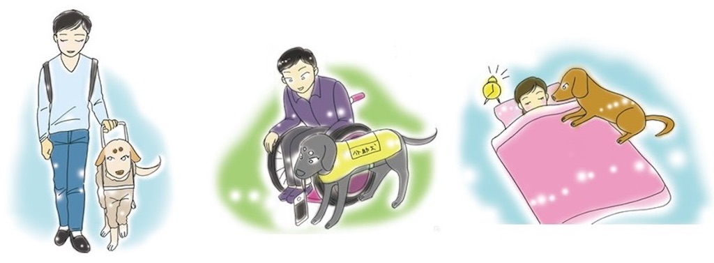 f:id:guidedogchannoworld:20240627083329j:image