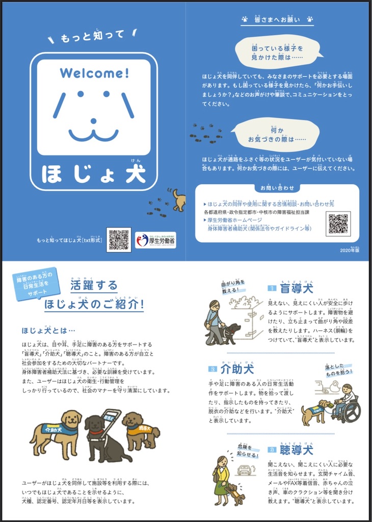 f:id:guidedogchannoworld:20240627083343j:image
