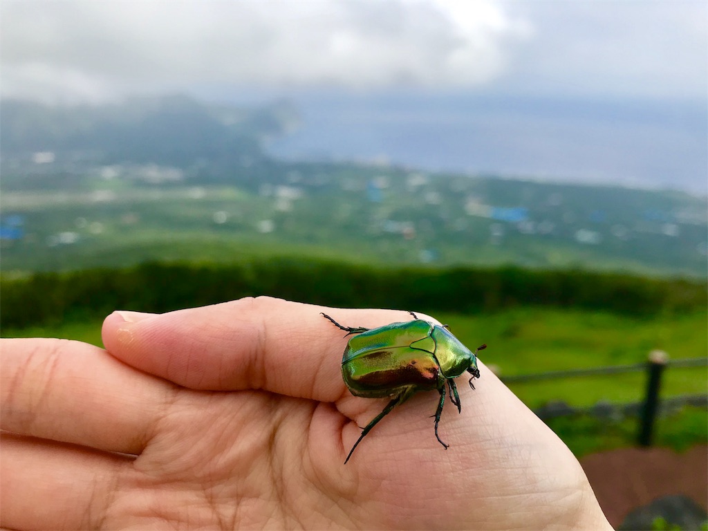 f:id:guitamy:20190718211507j:image