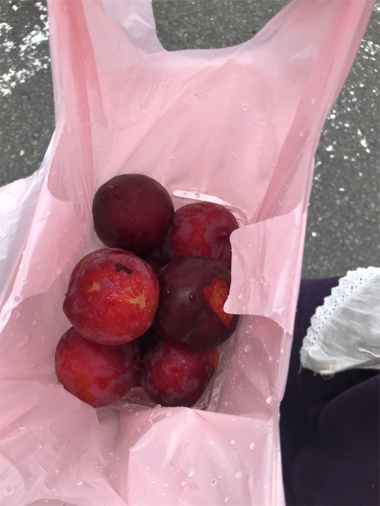 f:id:guitamy:20190728233159j:image
