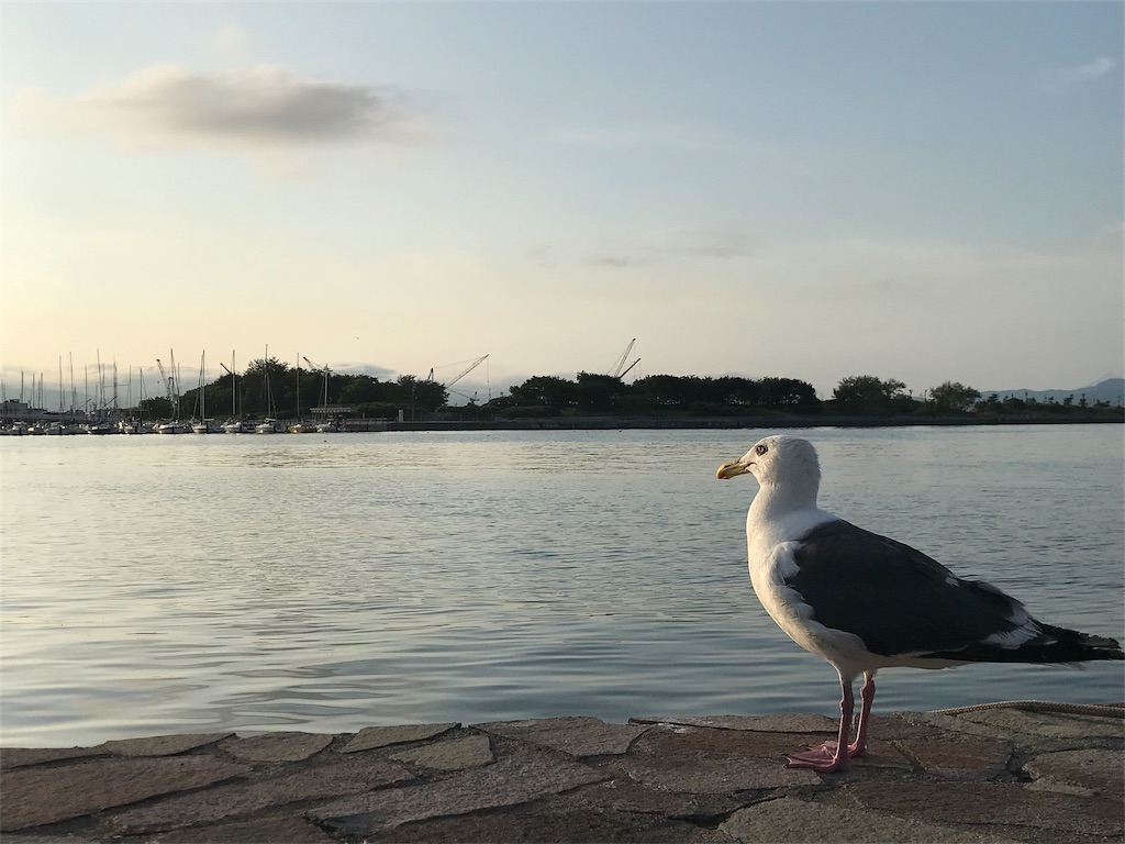 f:id:guitamy:20190729000010j:image