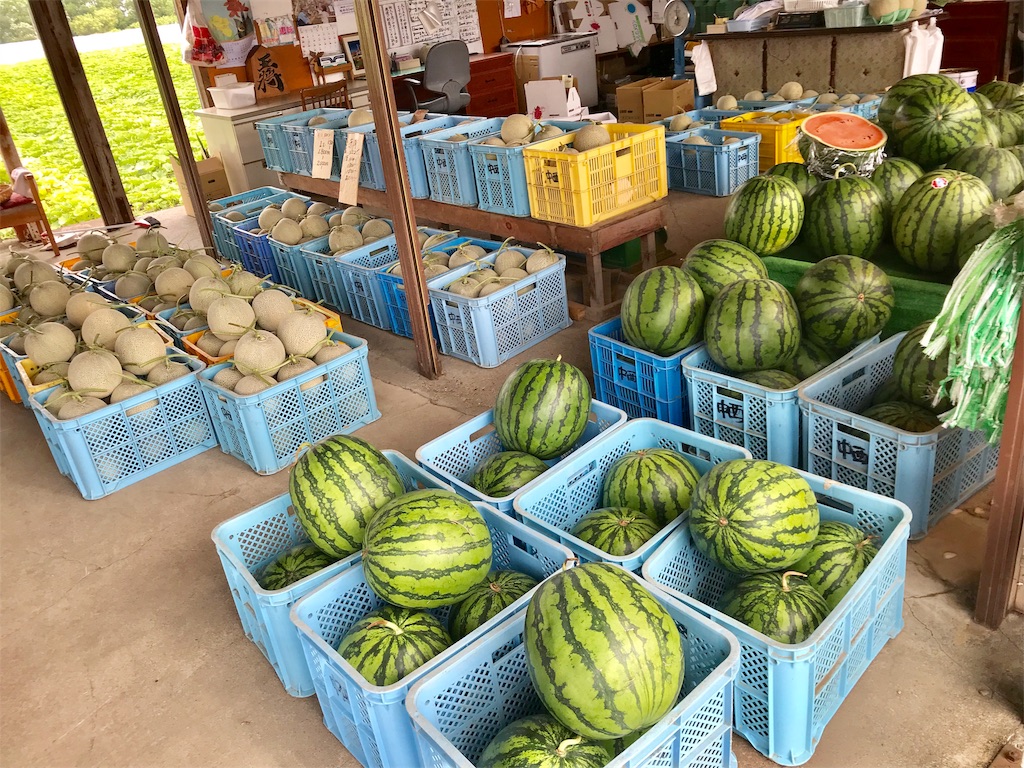 f:id:guitamy:20190802195728j:image