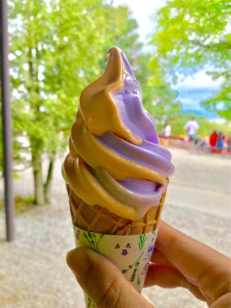 f:id:guitamy:20190803185824j:image