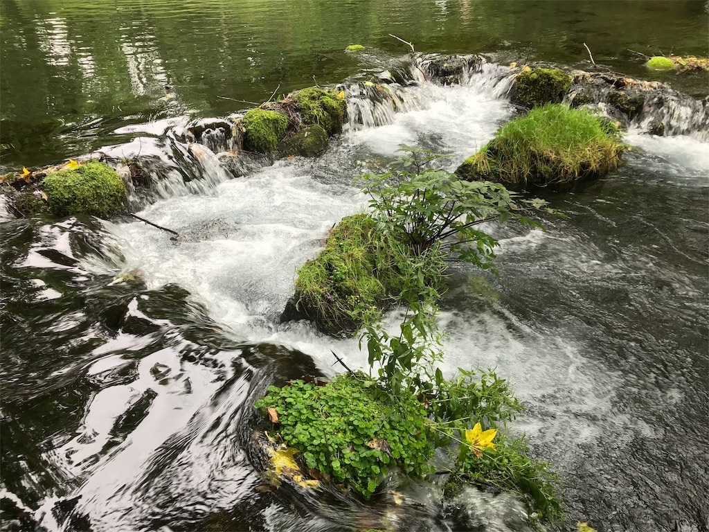 f:id:guitamy:20190804171505j:image