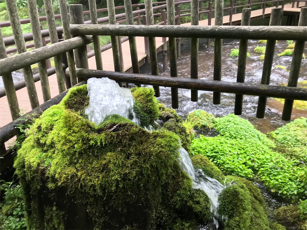 f:id:guitamy:20190804171524j:image