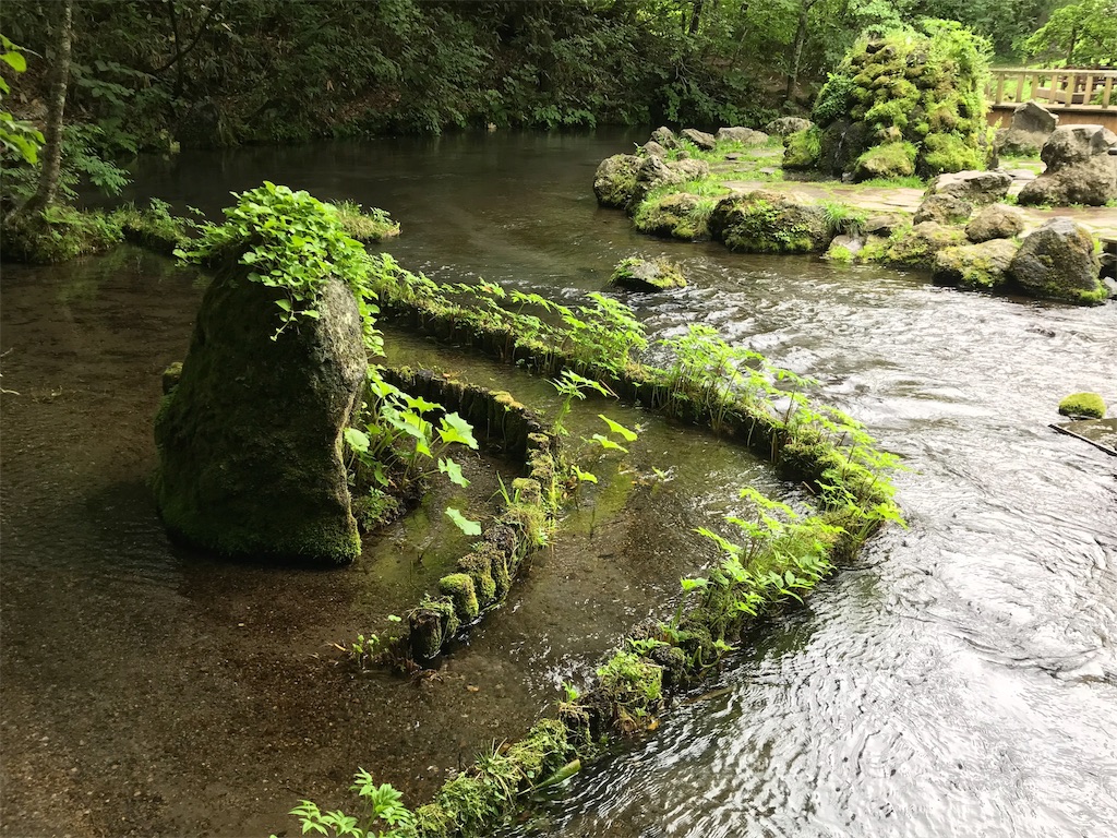 f:id:guitamy:20190804171528j:image