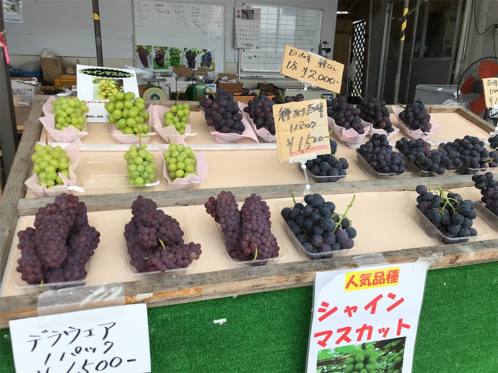 f:id:guitamy:20190804220739j:image