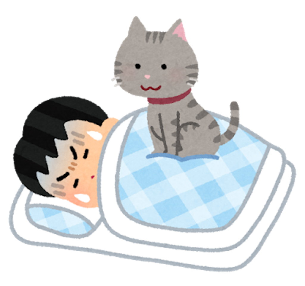 f:id:guitar_shoutarou:20181111191444p:image