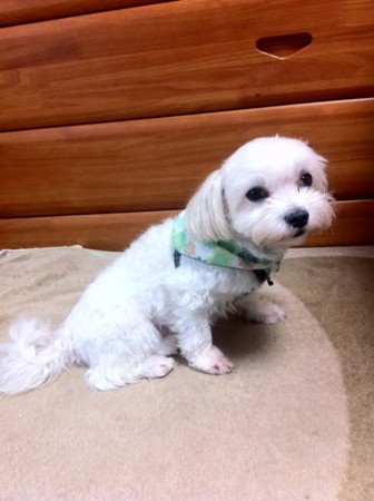 f:id:gukky:20121022073329j:image