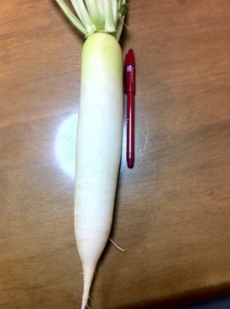 f:id:gukky:20121118052339j:image