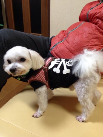 f:id:gukky:20161215190652j:image