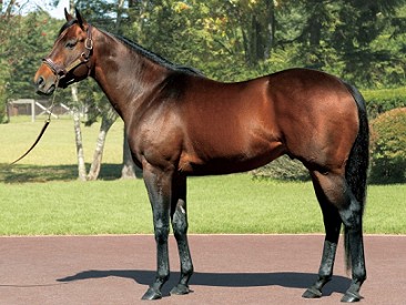 f:id:gulch:20190711110649j:plain