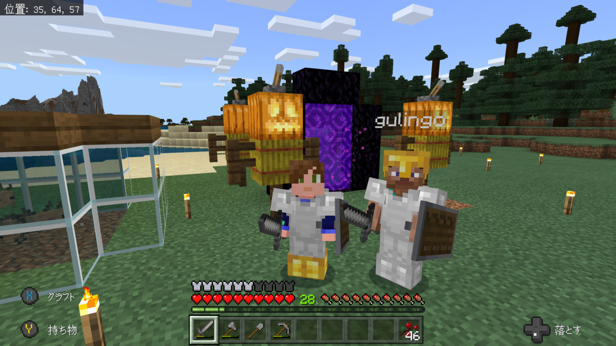 サバイバル日記 １１ ネザー探索１ ぐりんごのマイクラブログ
