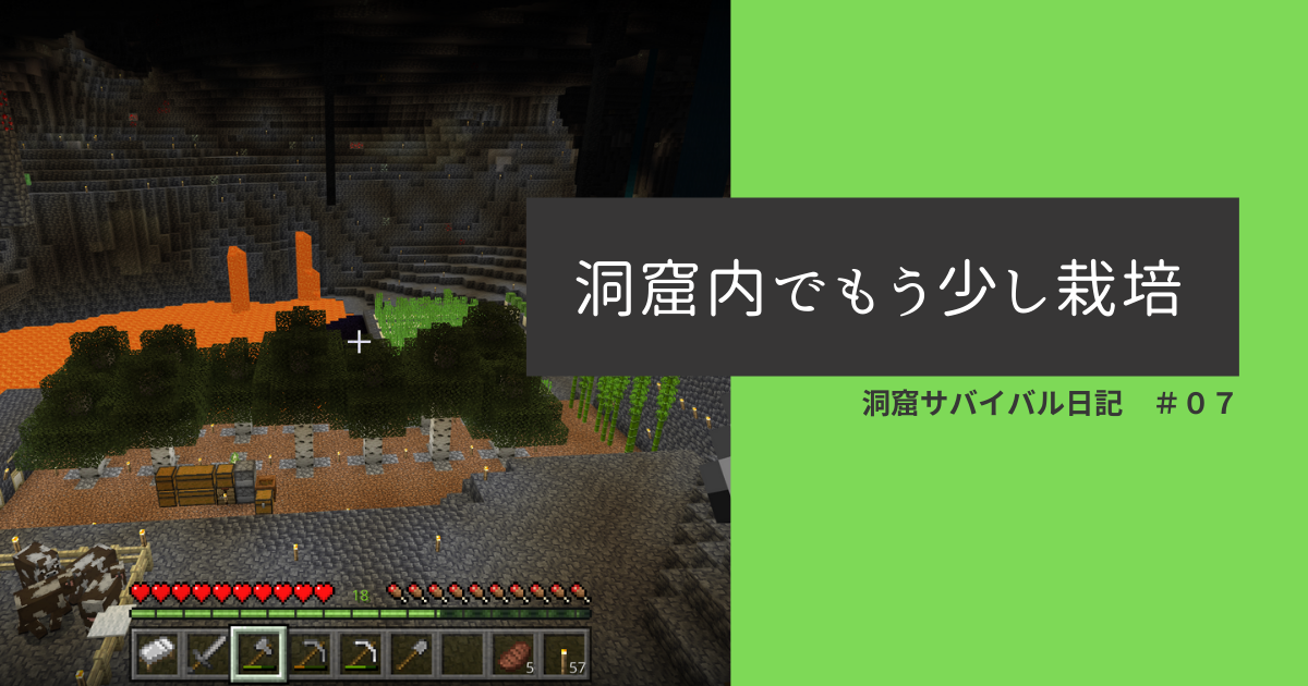 洞窟サバイバル日記 ０７ 洞窟内でもう少し栽培 ぐりんごのマイクラブログ